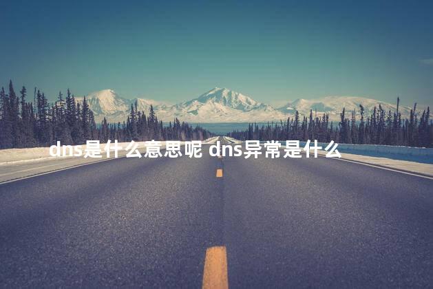 dns是什么意思呢 dns异常是什么意思